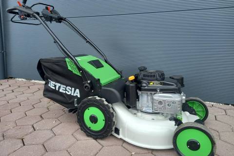 Etesia